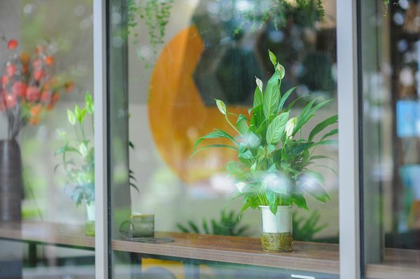 Panneau solaire photovoltaïque : guide pour un choix écologique et fiable